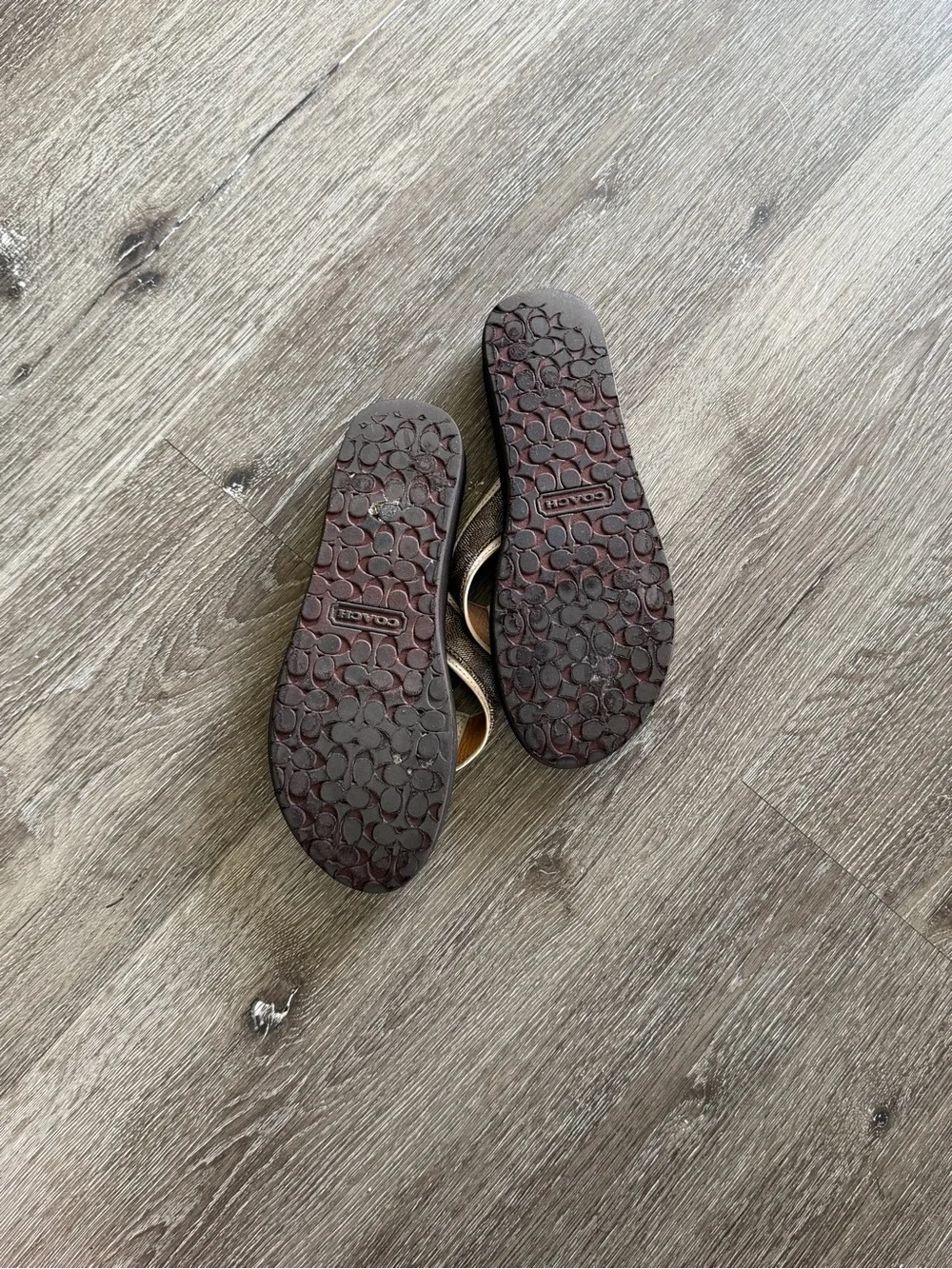 Coach Black Footbed Metallic Beige & Gold Thong Sandals